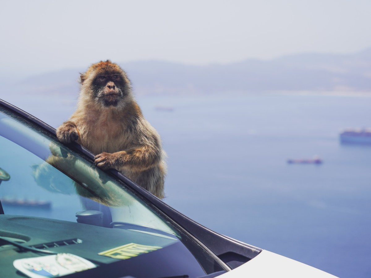 Gidai ir ekskursijos su pervežimu Andalūzijoje, pietų&nbsp;Ispanijoje